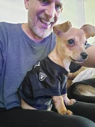 Your so beautiful Chloe ❤️ #carlgeorge #chloedchi #chihuahuafanatics  #chihuahua #chihuahuadog #cute #chihuahuaworld