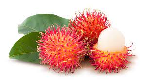 Rambutan fruit food red fresh tropical delicious nature healthy health. What Is Rambutan And Is It Good For You