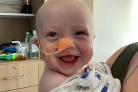 Fundraiser for Misty Harper by April Newton : Crue Needs Surgery in Miami