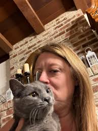 Lost cat named Blue near Eastwood Rd in Carmichael