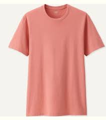 Salmon Shirt For Sale In Los Angeles Ca Offerup Baju Kaos Kaos Wanita