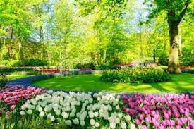 Alternatively, as a last resort, you can fence in your flower beds to keep dogs. Different Kinds Of Flower Beds Learn About Popular Flower Bed Designs