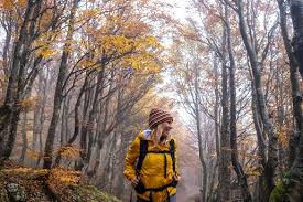 Sie weint dann und zittert am ganzen körper, ich brauche meist aber schon einige minuten um sie zu beruhigen. Innerliches Zittern Warum Innere Unruhe Krank Macht