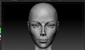 Division 2 rifle build idea with lucky shot