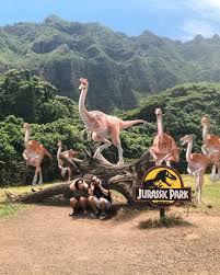 Check spelling or type a new query. Escaping Jurassic Valley At Kualoa Ranch The Flip Side Travels