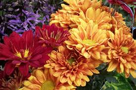 We did not find results for: Flower Meanings Harmon S Floral Company