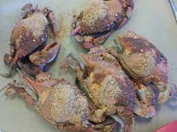 Crab corner is the only authentic maryland style crab house on the west coast. Crab Corner Maryland Seafood House Las Vegas Menu Prices Restaurant Reviews Order Online Food Delivery Tripadvisor