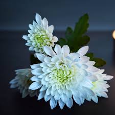 Flowers are definitely a thing when you lose someone. These Death Notices Were In The Derby Telegraph This Week Derbyshire Live