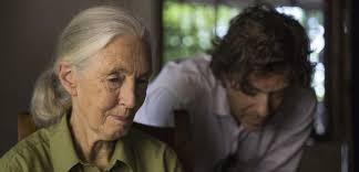 Cinematographer Stephen Goldblatt, ASC, BSC