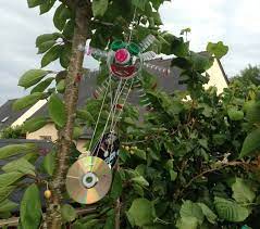 Elles sont réalisées avec un tasseau feuilluré à la scie circulaire ou une épaisse baguette d'angle. Diy Epouvantail En Bouteille Plastique Chez Titval Fr