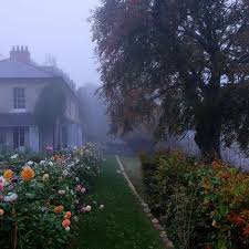 See more ideas about + core + aesthetic, sarah + core + aesthetic, aesthetic. Image About Photography In Natural By Sarah C