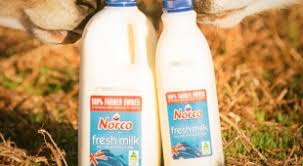 Avocado milk, barley milk, pili nut milk, and chia milk have all made their way into my fridge at some point. Norco An Australian Owned Dairy Co Operative