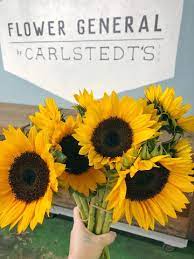 Maybe you would like to learn more about one of these? Flowergeneral By Carlstedt S