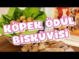 Kopek Odul Biskuvisi Tarifi Healthy Dog Treats Snacks Recipe Youtube Tarifler Kopek Saglikli