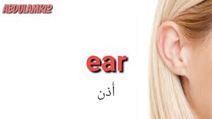 كلمات إنجليزية سهلة الحفظ Ear Youtube
