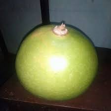 1.143 resep puding labu ala rumahan yang mudah dan enak dari komunitas memasak terbesar dunia! Buah Maja Labu Kayu Delima Batu Shopee Malaysia