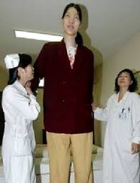 Learn how rich is in this year and how spends money? Yao Defen Age Bio Faces And Birthday