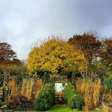 Tania Compton Garden Inspiration Compton Instagram