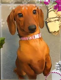 How to knit a murder. How To Knit A Murder Review Cuddle Up With A Cozy Mystery