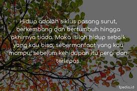 Berikut liputan6.com rangkum dari berbagai sumber, jumat (23/4/2021) tentang kata mutiara kehidupan. 40 Kata Mutiara Kehidupan Gambar Inspirasi Berpikir Positif Fpedia Id Database Kehidupan Anda