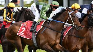 Trot on forward and find out. Telnfo0hv Zwtm