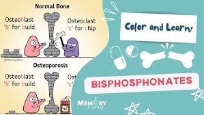 Image result for Bisphosphonates