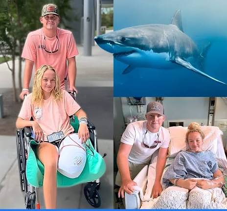 Brother fights 9-foot shark to save sister in Florida