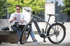 Diamant E Bikes 2021 Vom Gemutlichen Tiefeinsteiger Bis Zum Carbon S Pedelec Velomotion