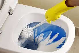 Veel Mensen Slaan Dit Over Bij Het Schoonmaken Van De Wc Wij Deden Het Ook Altijd Mit Bildern Hausreinigungs Tipps