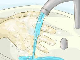 Ein Bidet Benutzen Wikihow