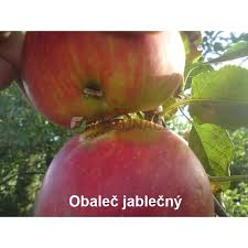 Image result for mospilan prodej