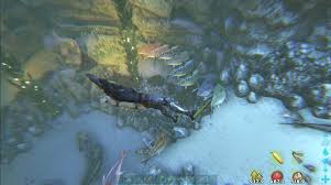 Check spelling or type a new query. Wild Sharks Making Perfect Line Hard Underwater Cave Ark