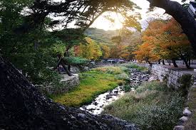 free image on pixabay beomeosa temple creek nature nature scenery image pinterest