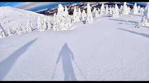 Image result for Hakkoda Walk