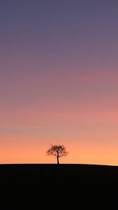 Find the best iphone black wallpapers hd on getwallpapers. Top 1080p Wallpaper Iphone 6 Download Wallpapers Book Your 1 Source For Free Download Hd 4k High Quality Wallpapers