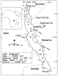 Lake tanganyika lake tanganyika is one of the great lakes of africa.it is estimated to be the lake tanganyika map.png 728 × 1,373; Location Map Of Lake Tanganyika Showing Known Stromatolite Localities Download Scientific Diagram
