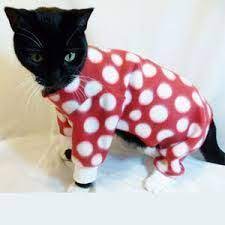 Resultado De Imagen Para Como Hacer Ropa Para Gatos Paso A Paso Cat Pajamas Cat Clothes Pet Clothes