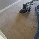 Castle One Rotary Steam Carpet Restoration - Pet Stain and Odor ...