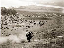 Hiking In The El Cerrito Hills Folkrocks