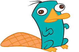 Perry The Platypus Perry The Platypus Phineas And Ferb Perry Phineas And Ferb