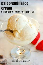 Naturals ice cream is the best brand of ice cream in india. Paleo Vanilla Ice Cream Aip Vegan Keto Eat Beautiful