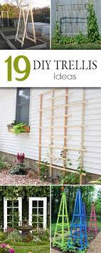 19 Awesome Diy Trellis Ideas For Your Garden Diy Garden Trellis Diy Garden Projects Diy Trellis