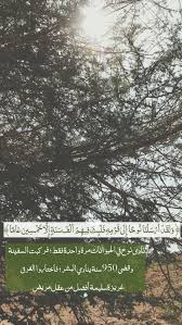 pin by الوتين on خلفيات دينية quran verses islamic photos arabic quotes