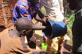 Image result for Anisophyllea boehmii