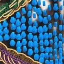 Steven Asquith (@asquith_studiocomplex) • Instagram photos and videos