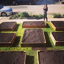 Çim eki̇mi̇ nasil yapilir, eki̇m öncesi̇ ve sonrasi nelere i̇hti̇yaç duyulur: Pin On Klein S Udina West