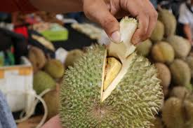 Nama hewan yang dalam bahasa indonesia ini ada 26, sedangkan yang dalam bahasa inggris ada 59. Beginilah Jika Juara Durian Malaysia Ditanam Di Indonesia