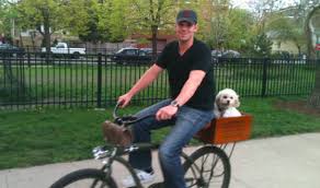 Diy Dog Bike Basket Ideas