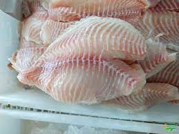 Uno por uno, colócalos en la bolsa de plástico de migas de pan. File De Tilapia Fresco Sem Espinho Em Curitiba Pr A Venda 209797