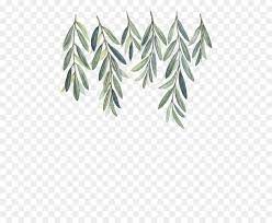 Olive Branch Watercolor Painting Willow 564 730 Is About Leaf Pattern Tree Gre Plantillas De Fondo De Powerpoint Dibujos Botanicos Fondos Para Fotomontaje